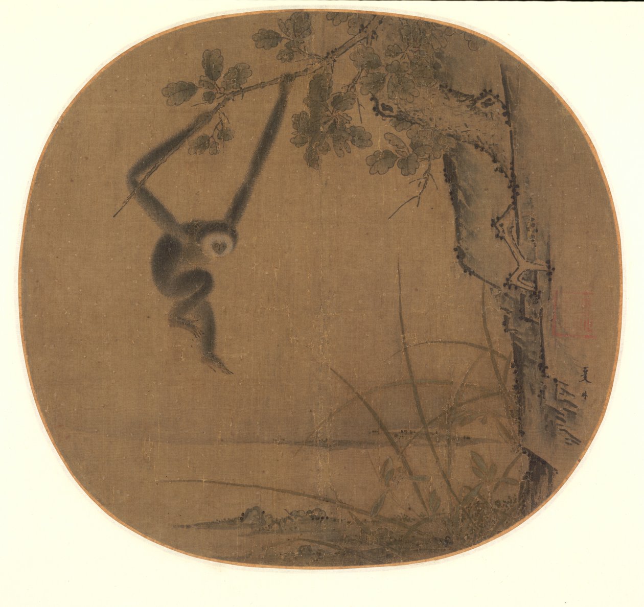 Sallanan Gibbon, 1100