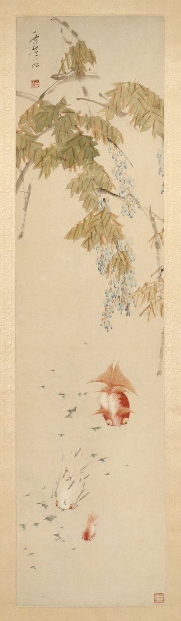 Wisteria ve Japon Balığı 紫藤金魚圖 by Xugu