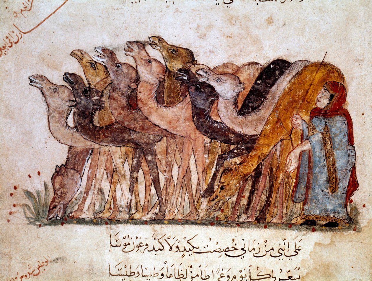 Bir grup deve ve deve, çölde kervan. “Maqamat” (Seanslar) sayfası, Arap şair Ebu Muhammed el-Kasim ibn Ali Hariri