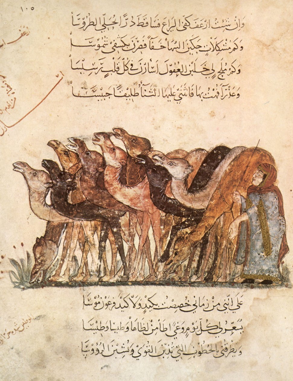 Ms Ar 5847 f.101, Deve Sürüsü, Al Maqamat