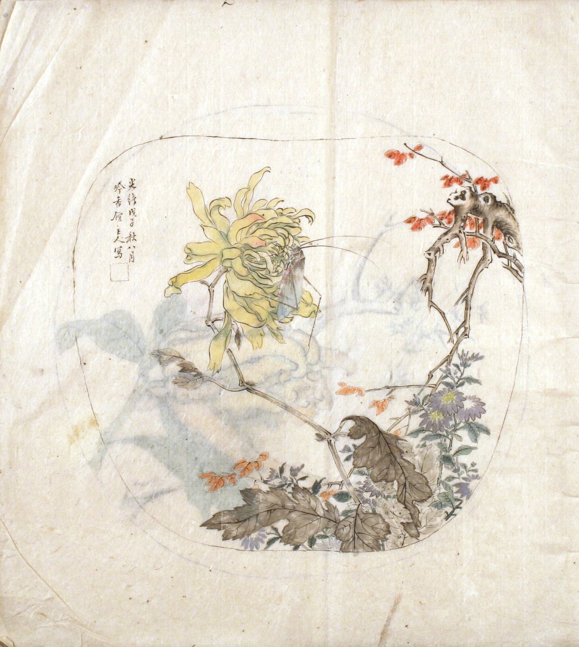 Bir Krizantem Kroki by Yang Shichao