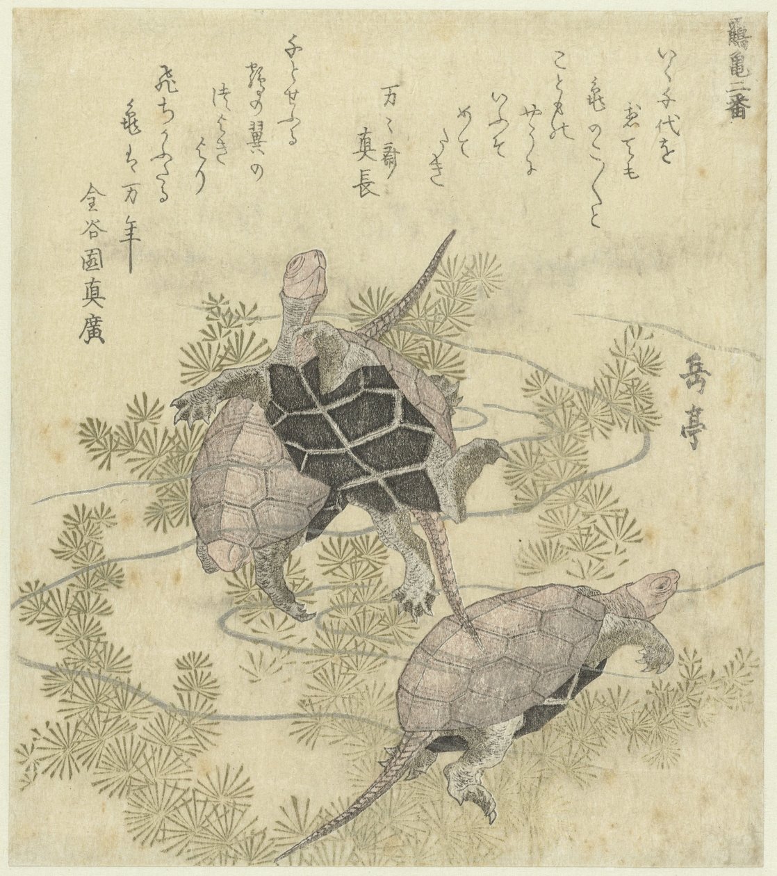 Su bitkileri arasında üç kaplumbağa Bir dizi iki vinç ve kaplumbağa baskısı (seri başlığı) Tsurukame niban (nesne üzerinde seri başlığı) by Yashima Gakutei