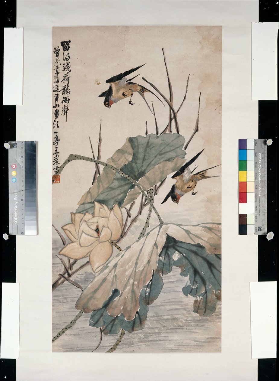 Lotus Solduktan Sonra Yağmuru Dinlemek by Yiting Wang