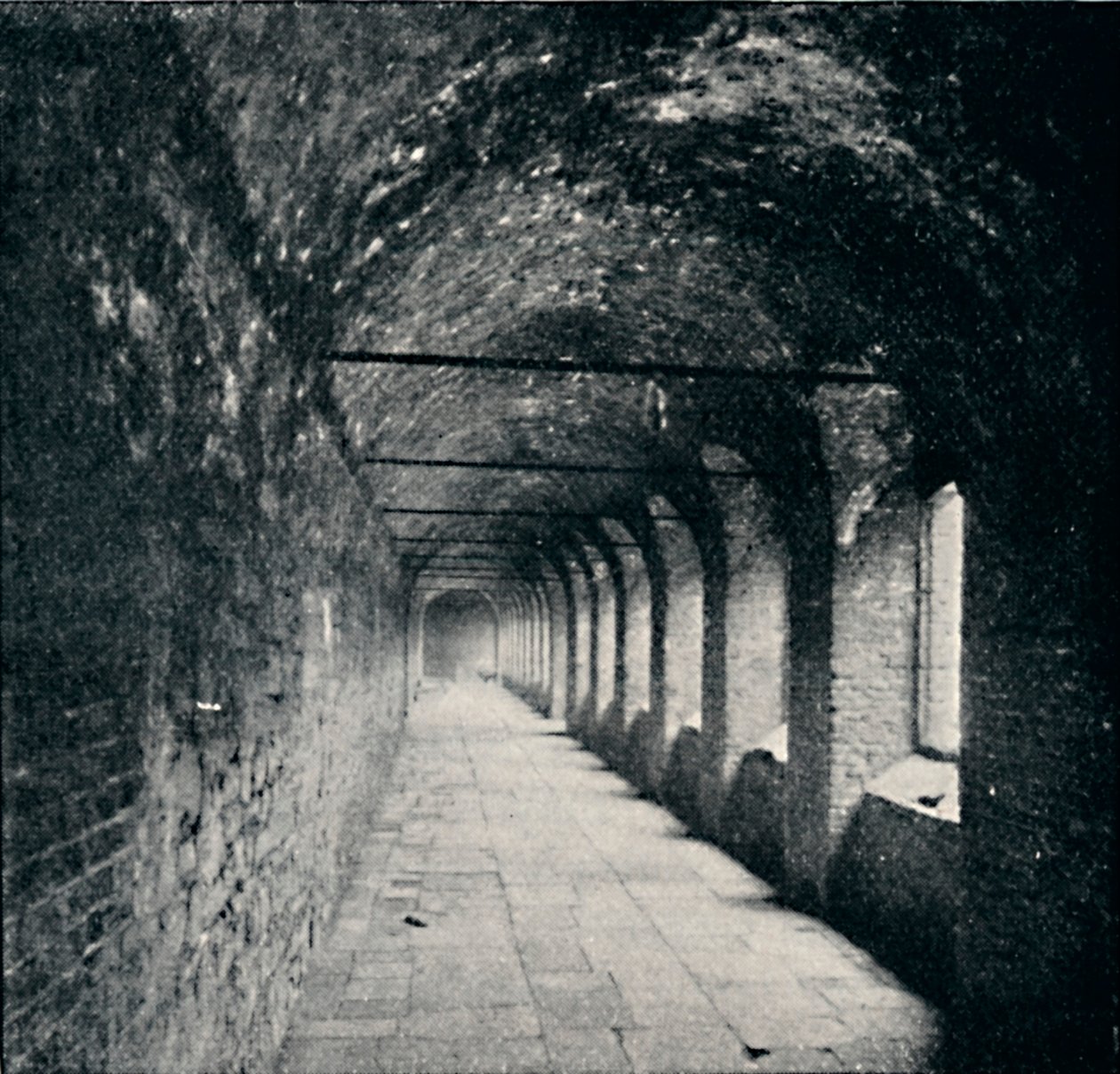 Cloisters, Charterhouse, Londra, 1903 by York and Son