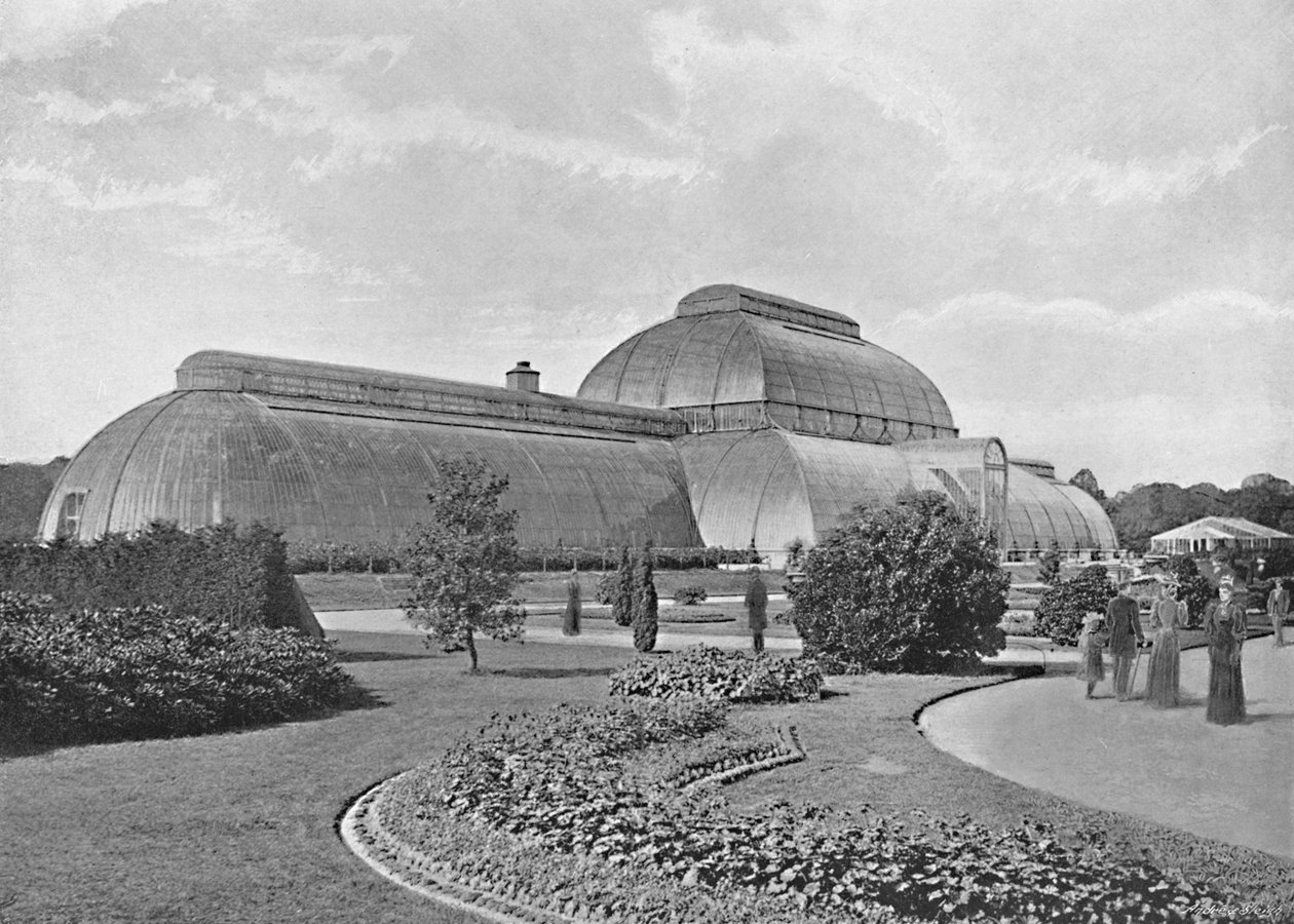 Büyük Palmiye Evi, Kew Bahçeleri, c1896 by York and Son