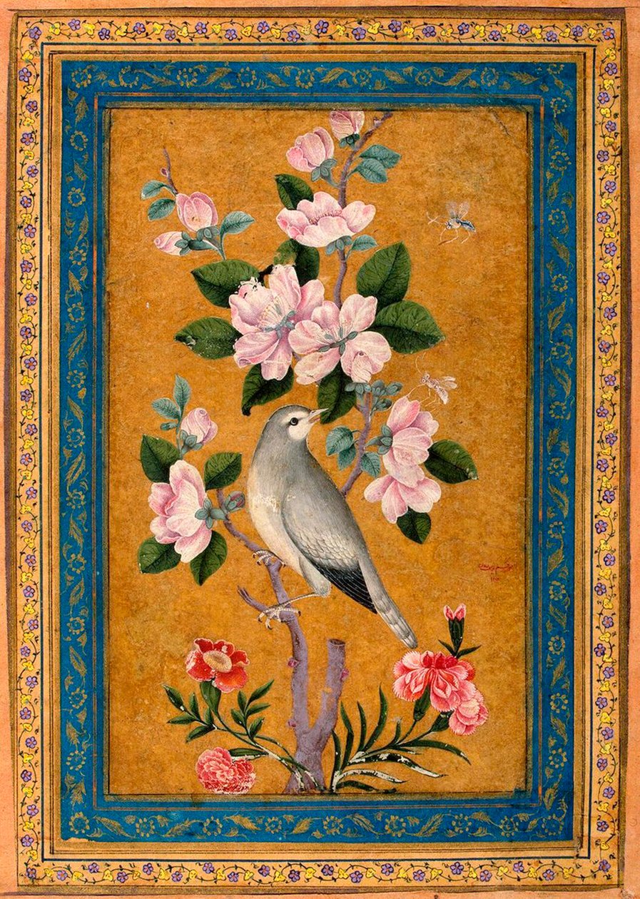 Çiçek Açan Dala Tüneyen Kuş, 1696. by Yusuf Zaman