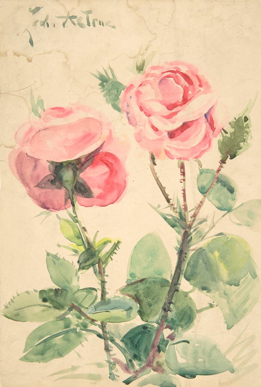 İki Gül, ca. 1884-1904. by Zacharie Astruc