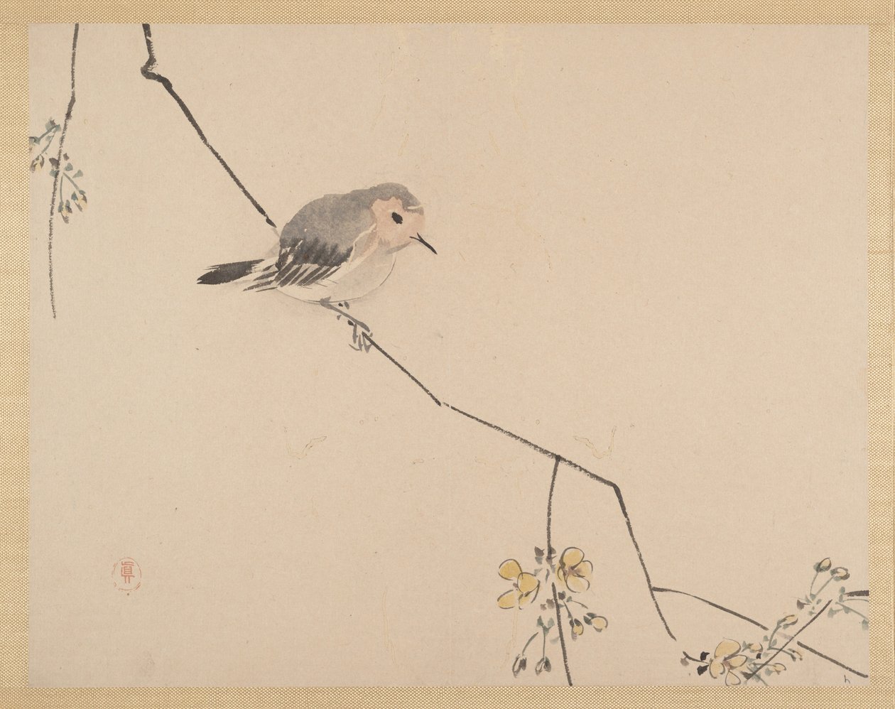 Boyama by Zeshin Shibata