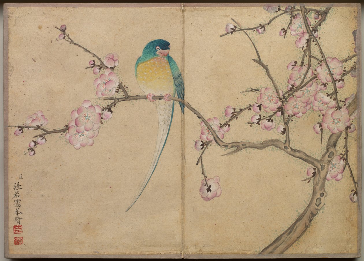 Masa Albümü: Çiçek ve Kuş Resimleri (Erik Çiçeği ile Kuş) by Zhang Ruoai