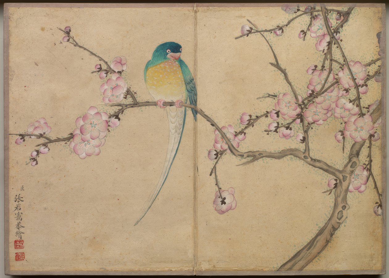  by Zhang Ruoai