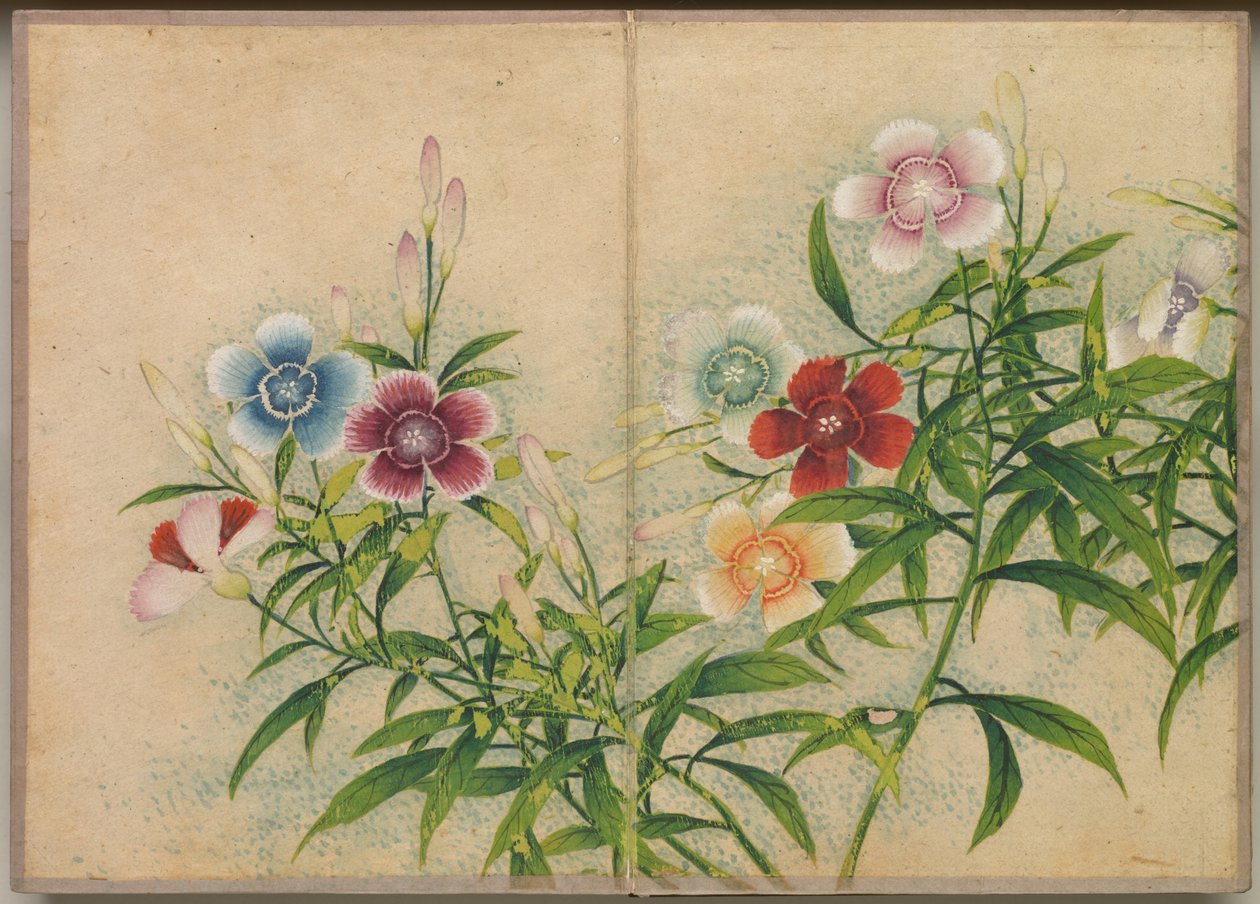 Masa Albümü: Çiçek ve Kuş Resimleri (Pembeler) by Zhang Ruoai