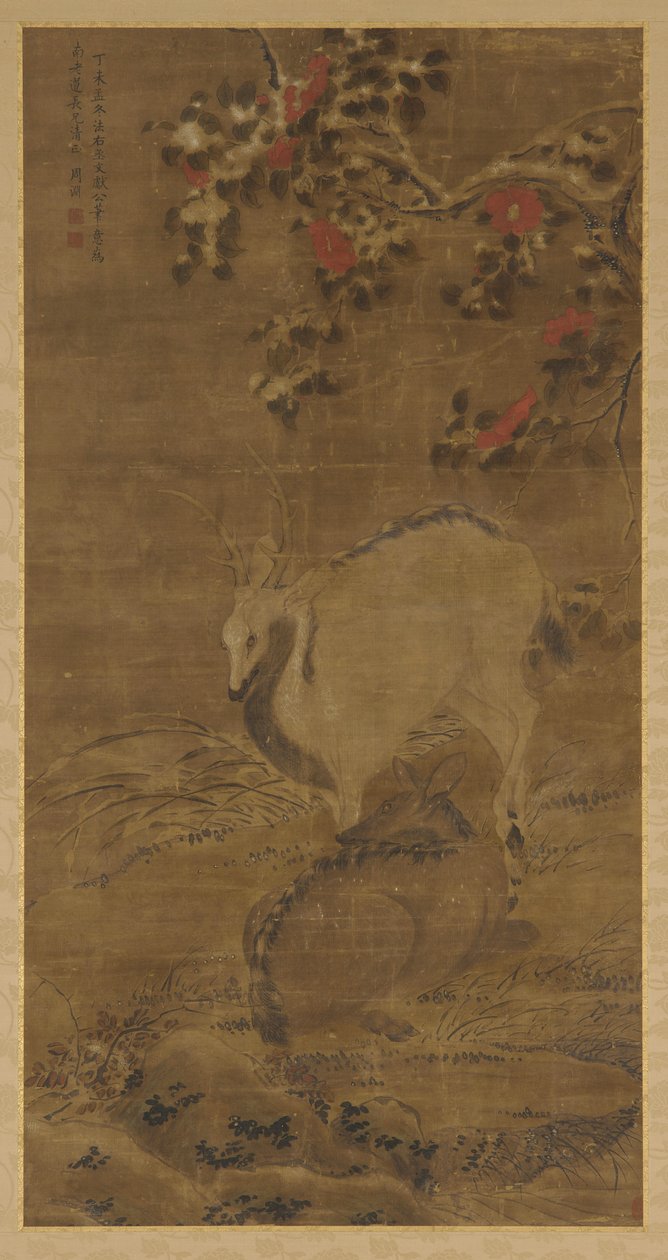 Bir geyik, bir geyik ve karda kırmızı kamelyalar by Zhou Yuan