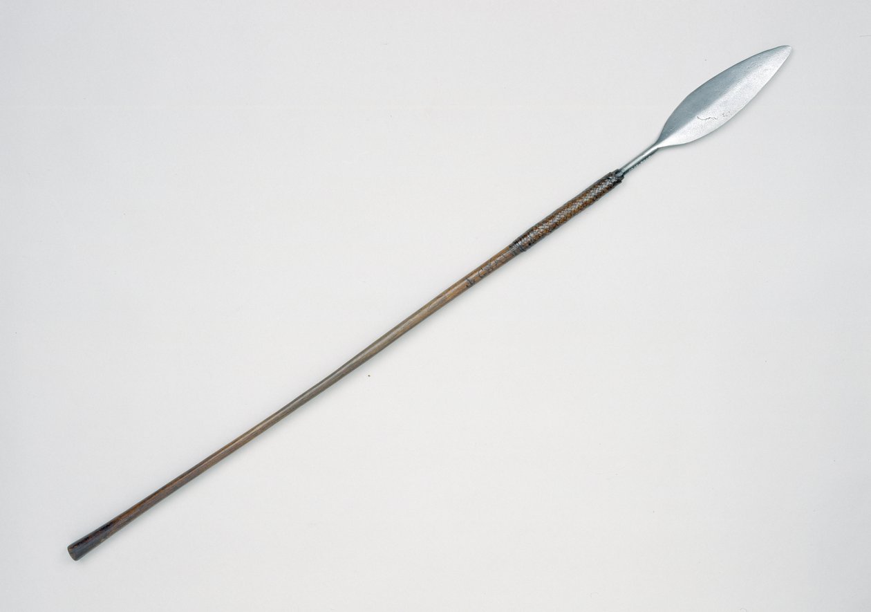 Zulu mızrak veya assegai, Güney Afrika by Zulu