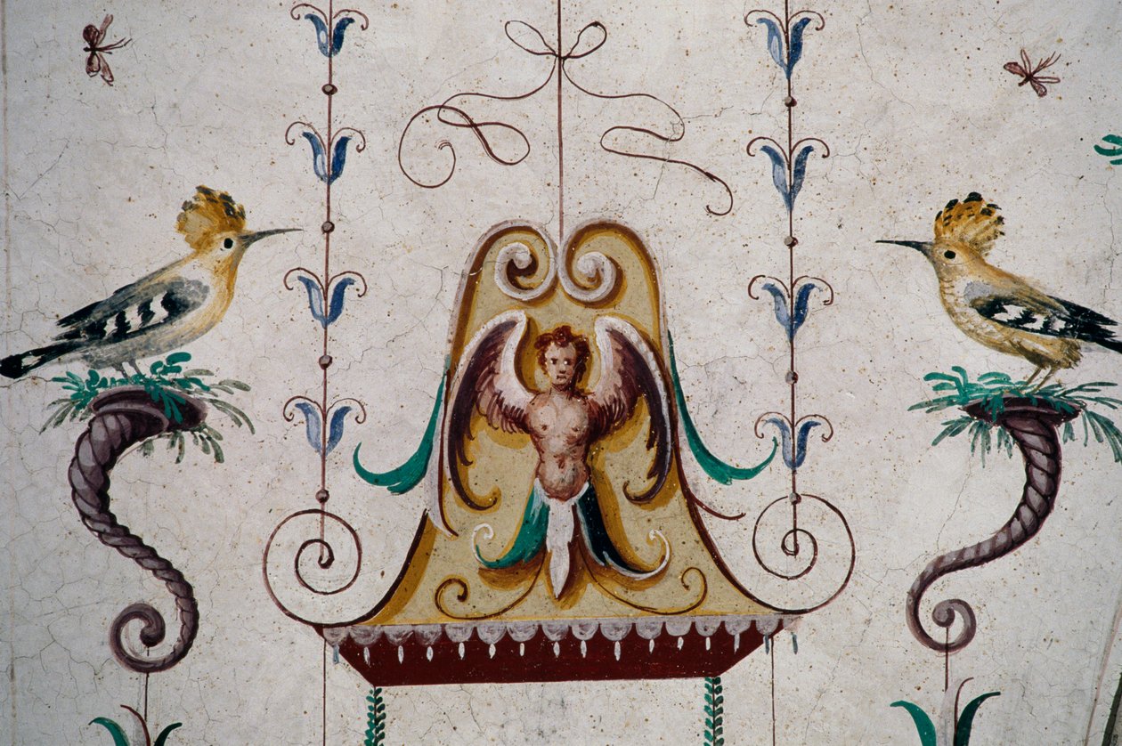Kuşlar, Grotesque Hall (16. yüzyıl), Manta Kalesi, Saluzzo, Piedmont, İtalya kasasındaki fresklerden detay by Georg Carl Heinrich Dollmann