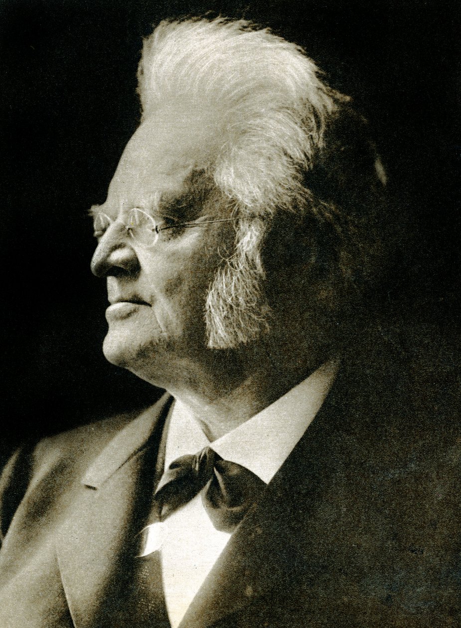 Bjornstjerne Bjornson (fotogravür) by Hippolyte Lalaise Devéria