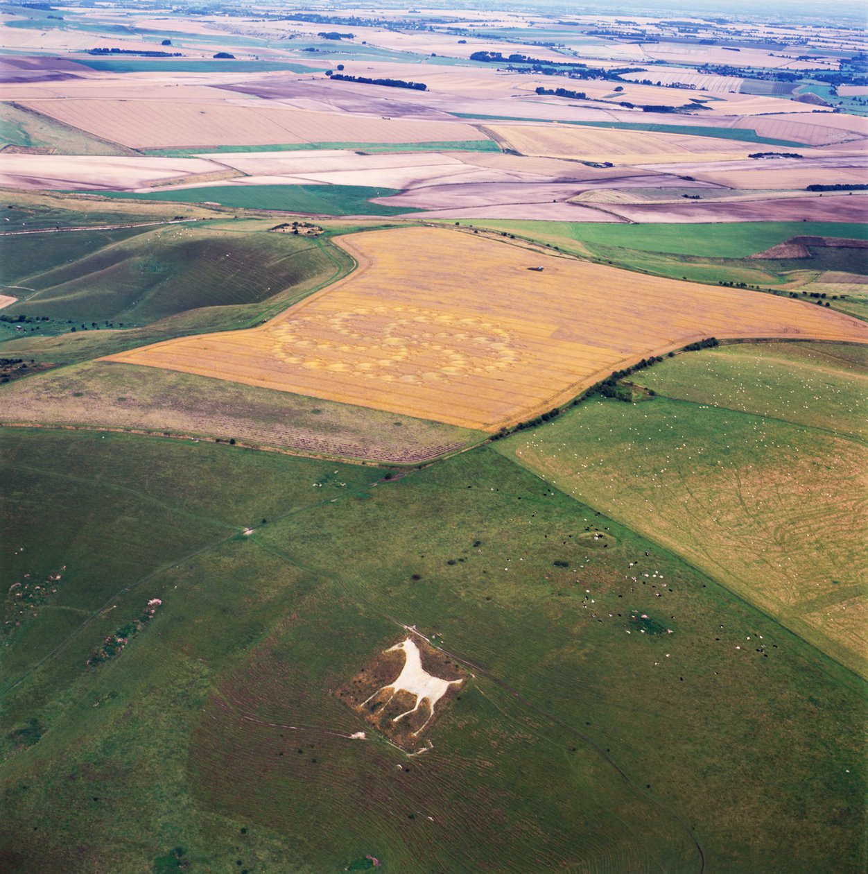 Buğday tarlasında ekin çemberi, Milk Hill, Alton Priors, Pewsey Vale, Wiltshire by Ferdinand Georg Waldmuller