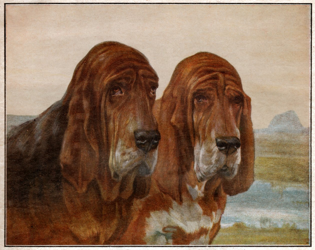 Aziz Hubert veya Bloodhound Köpekleri. 1925 (resim) by . .