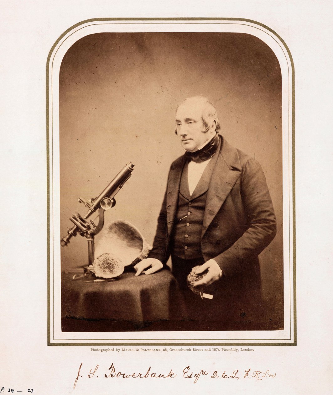 James Scott Bowerbank, İngiliz jeolog by Ferdinand Georg Waldmuller