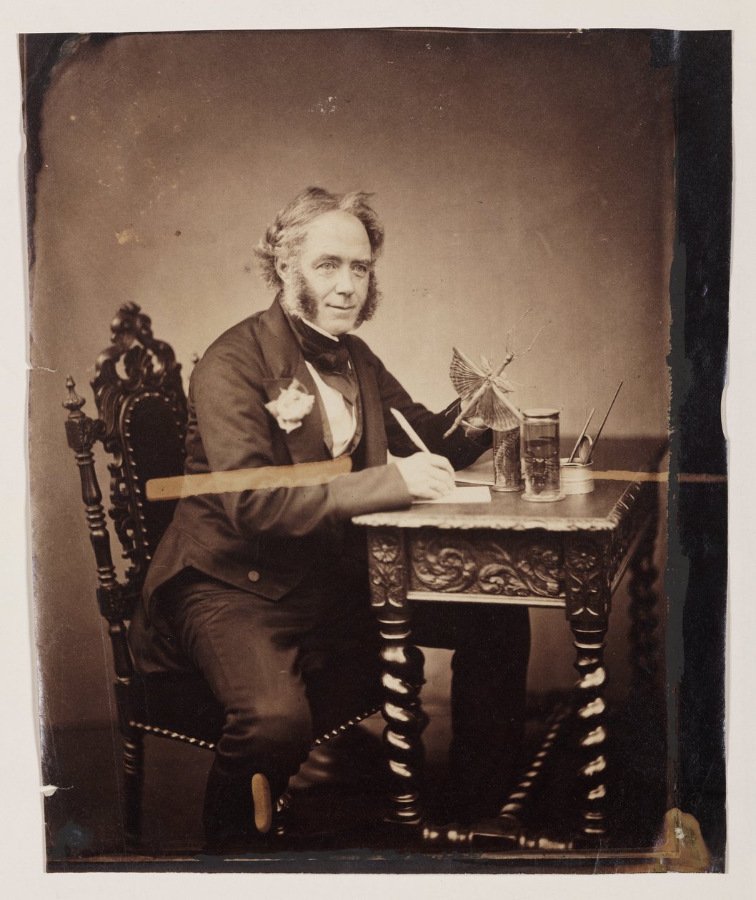 John Obadiah Westwood, İngiliz entomolog ve paleograf, c 1850 by Ferdinand Georg Waldmuller