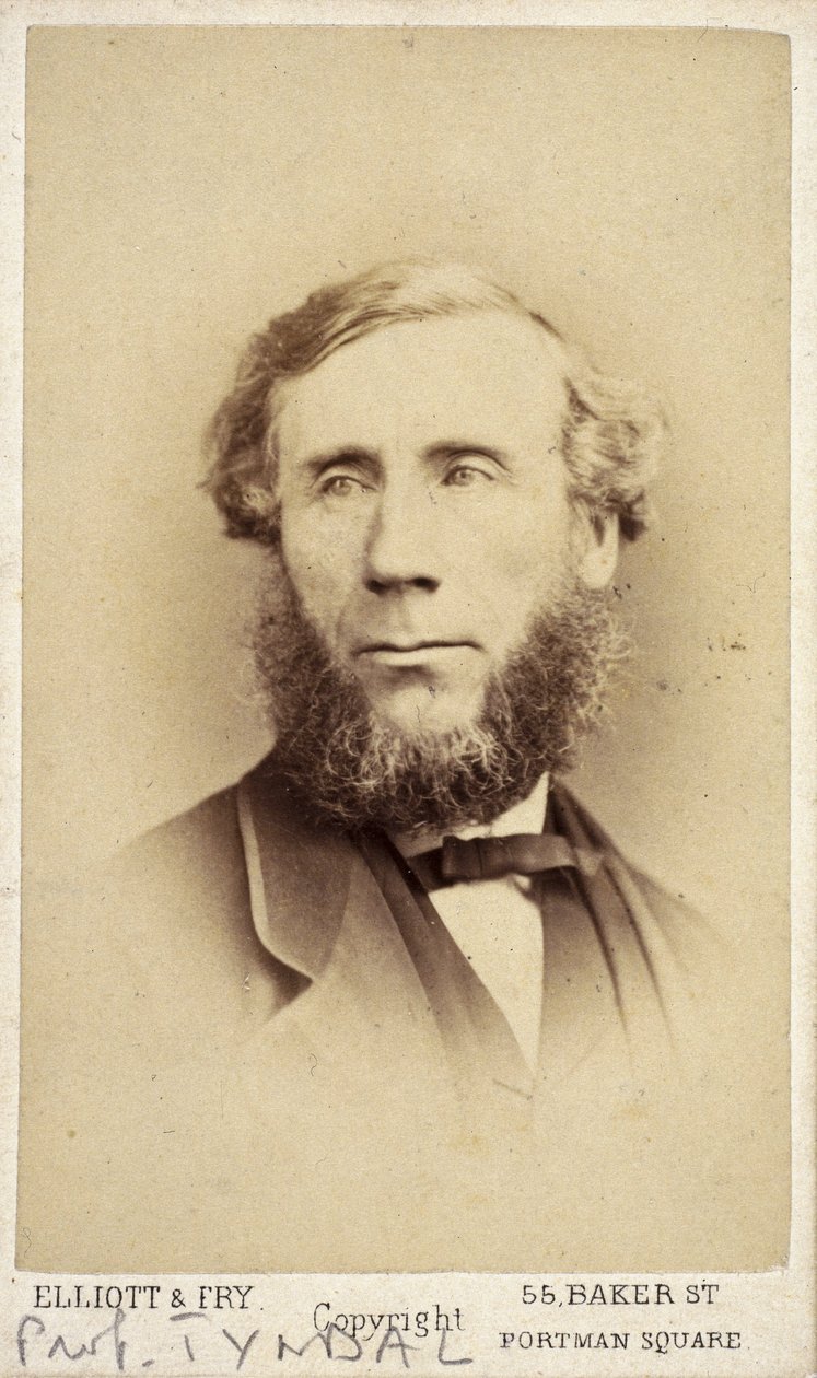 John Tyndall, İrlandalı fizikçi, 1875 dolayları by Frederick (attr. to) Barnard