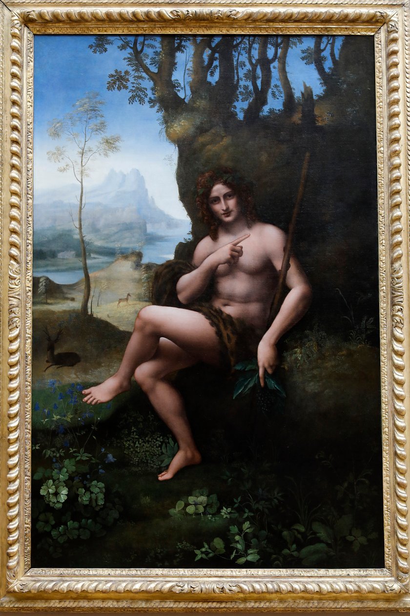 Louvre Müzesi, Paris, Fransa. Leonardo da Vinci