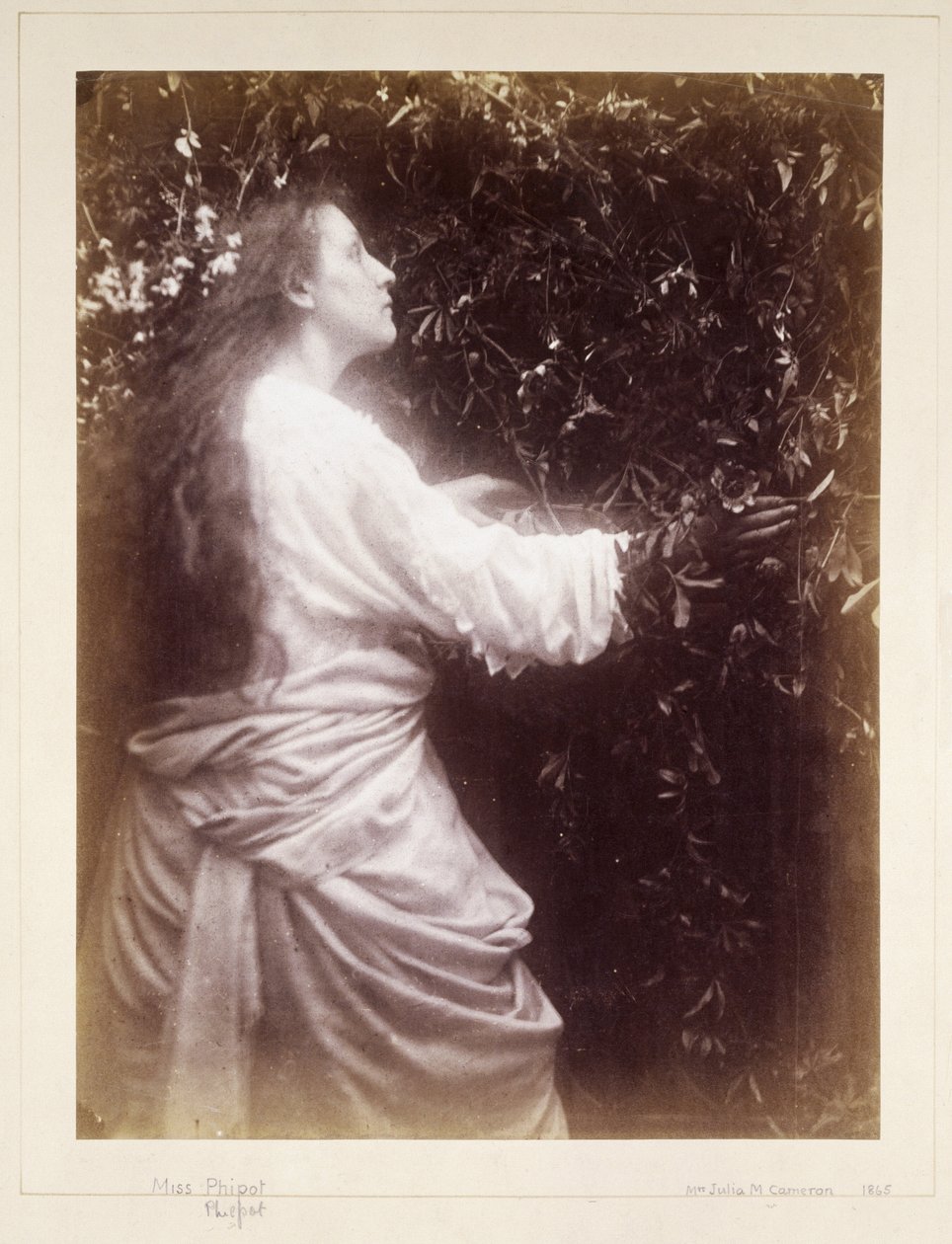 Mary Hillier, 1865 dolayları by John Pardon