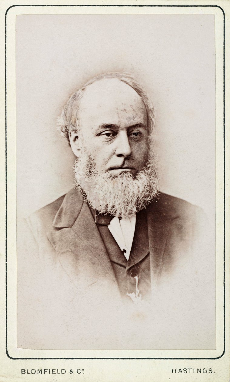 Bay Hackett, Genel Steam Navigasyon Şirketi sekreteri by Frederick (attr. to) Barnard