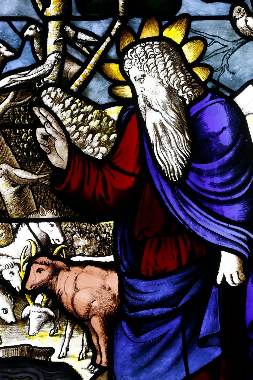 Milano Katedrali Müzesi. Vitray pencere. Hayvanların yaratılması (Tanrı Baba). 16