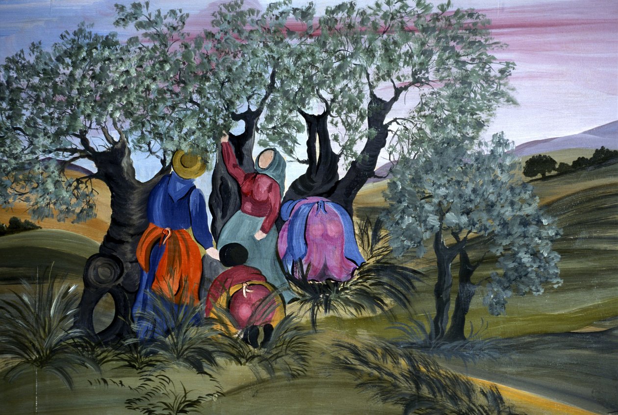 Zeytin toplama, saf Barbara Mencarelli, Mandoleto, Solomeo, Umbria, İtalya by Henry Charles Fehr