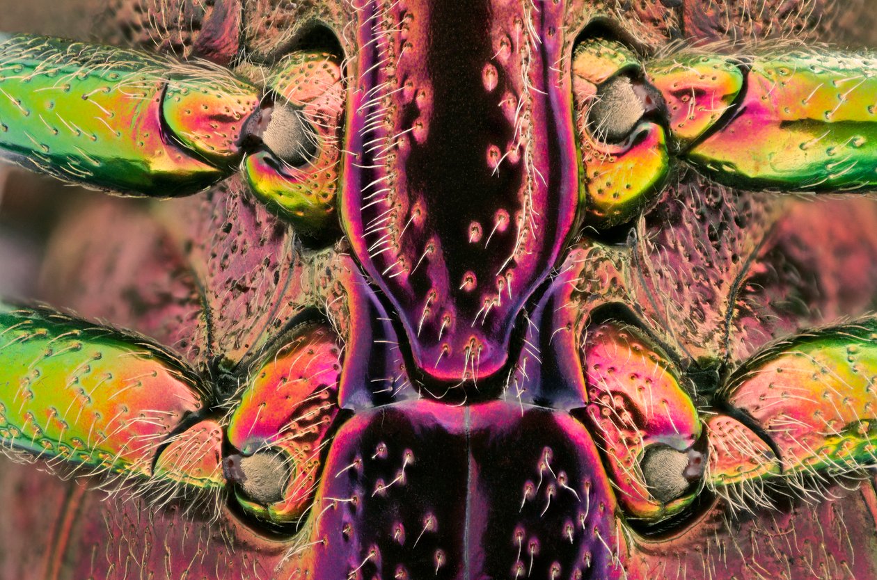 Madagaskar