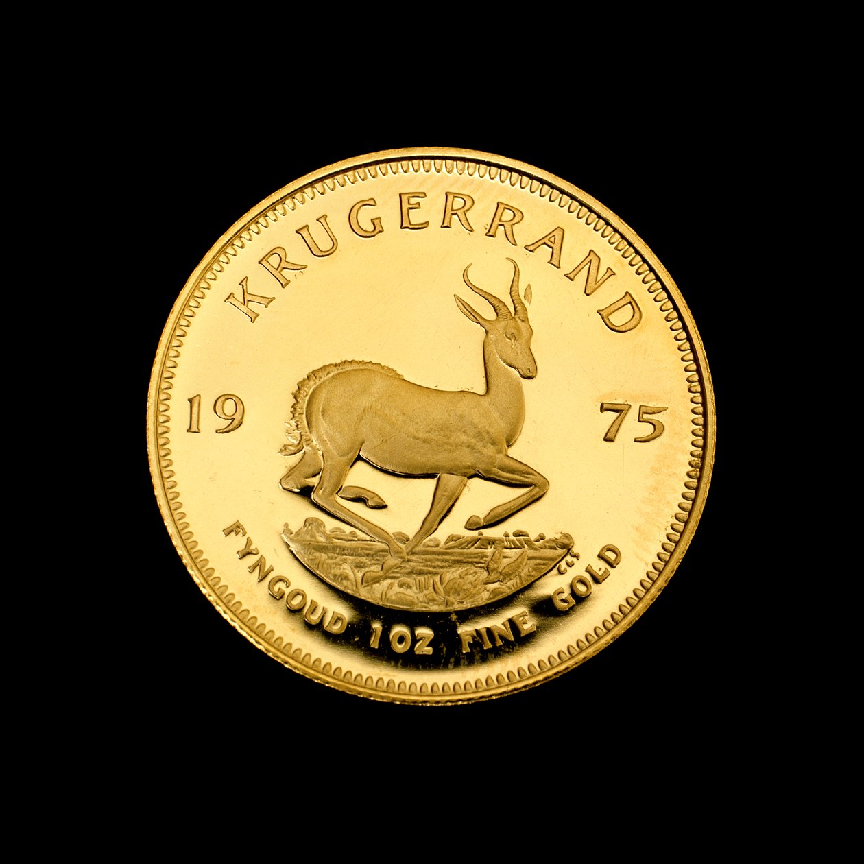 Krugerrand - Ünlü Güney Afrika Altın Parası by Hippolyte Lalaise Devéria