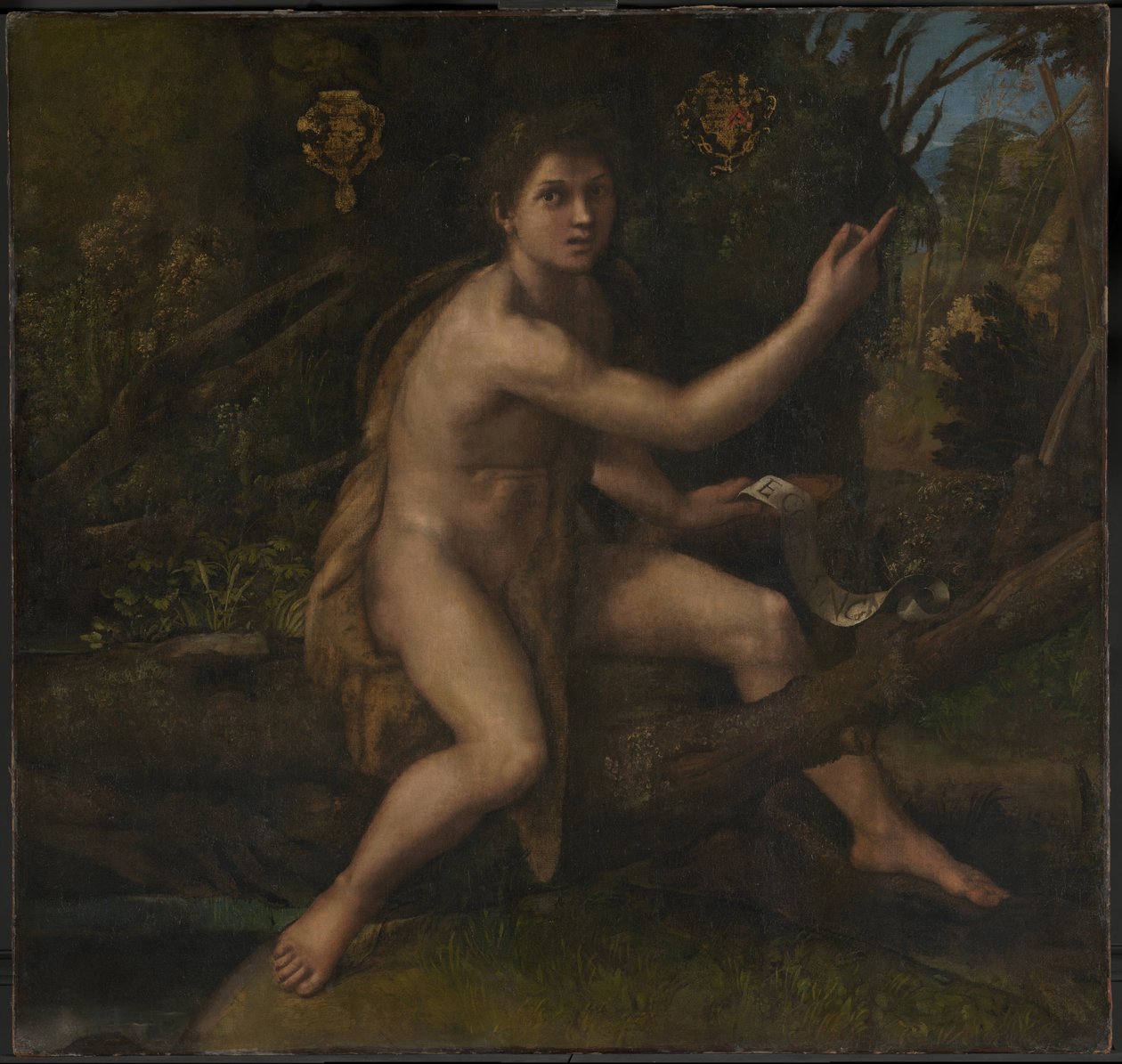 Aziz John the Baptist by Raphael