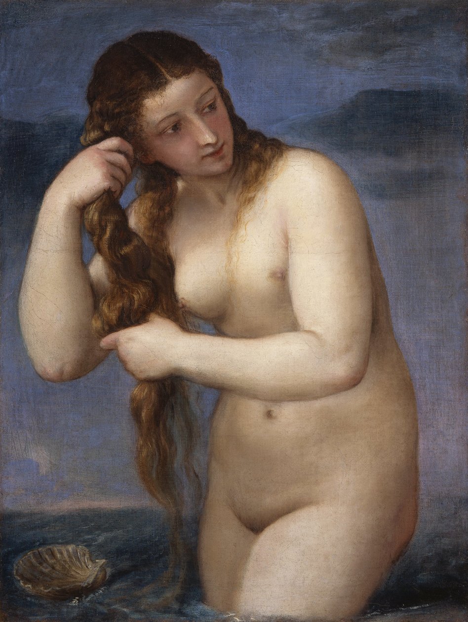 Venüs Anadyomene by Tiziano Vecelli