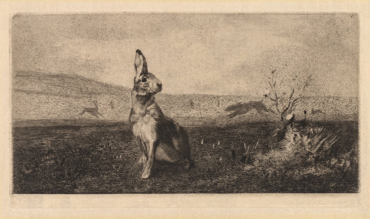 tavşan by after Albert de Balleroy