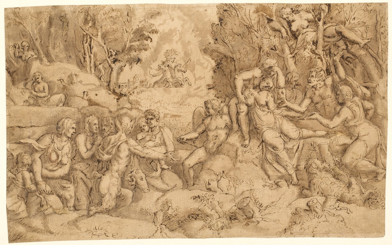 Procris