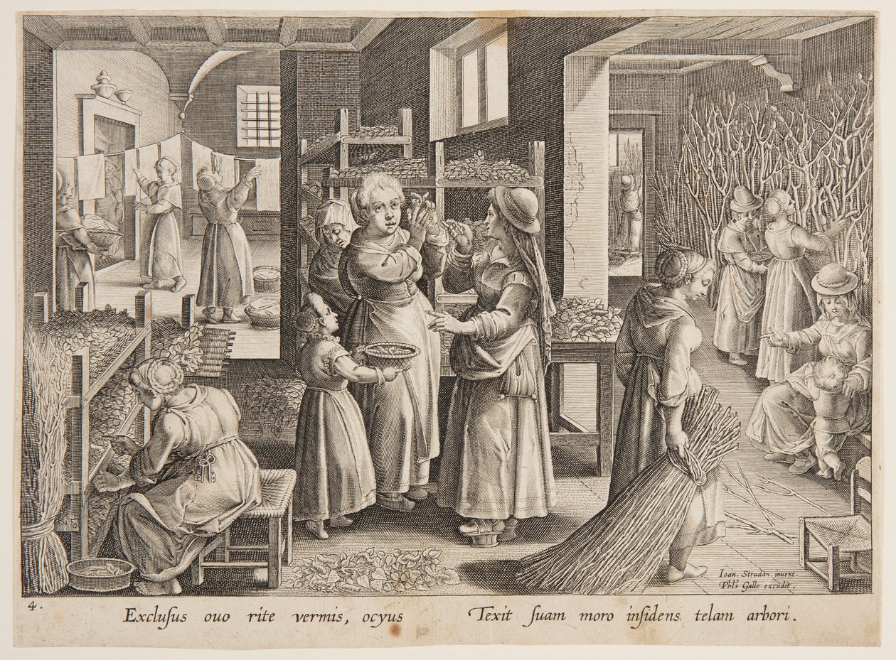 İpekböceklerine dut yaprağı yedirmek by after Jan van der Straet, called Stradanus
