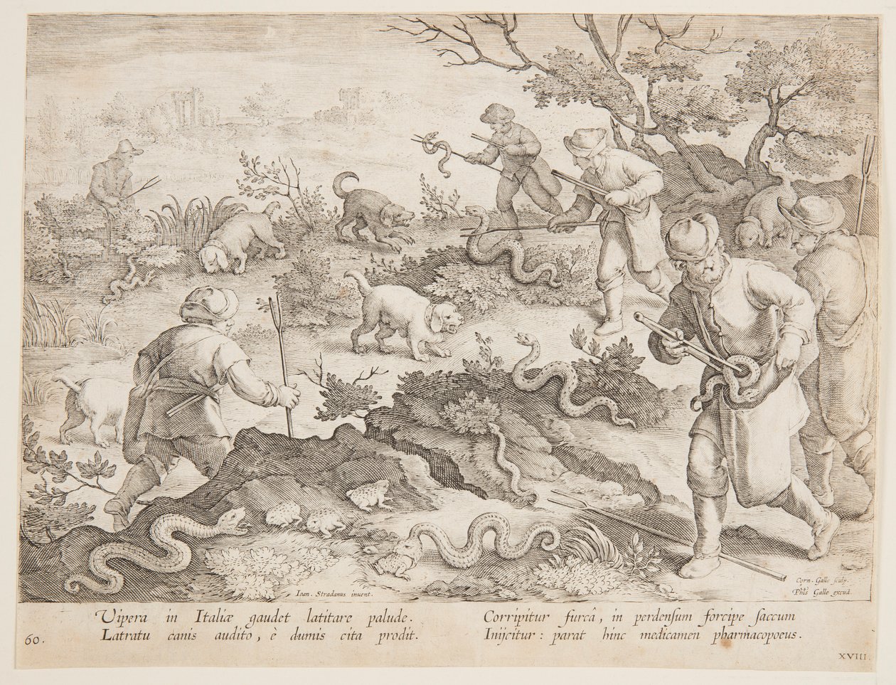 av yılanları by after Jan van der Straet, called Stradanus