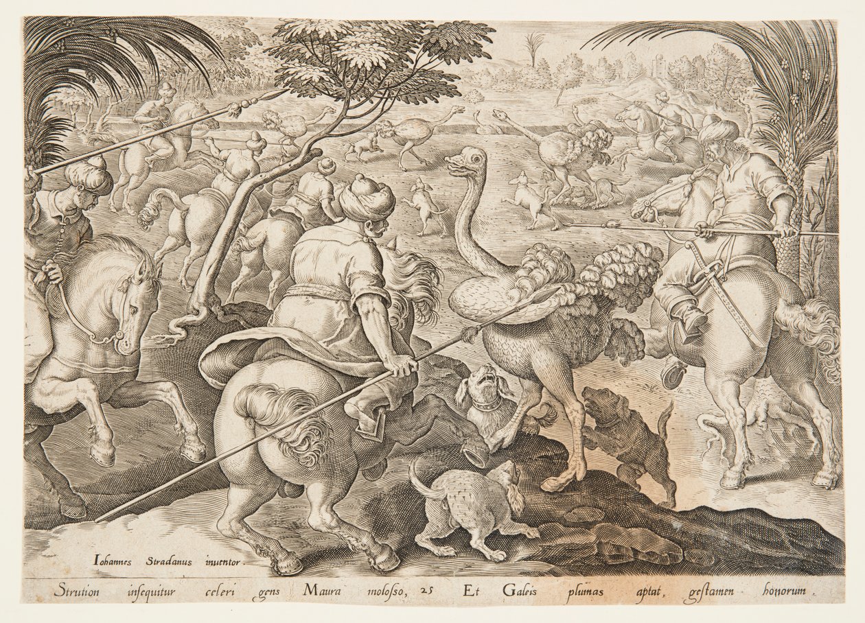 Devekuşu Avı by after Jan van der Straet, called Stradanus