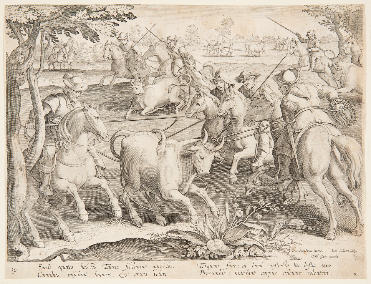 Vahşi boğaları yakalamak by after Jan van der Straet, called Stradanus