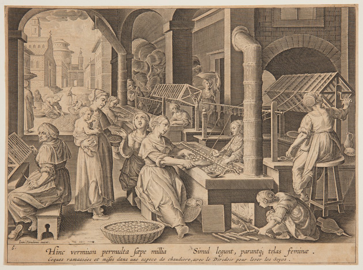 İpek kozalarının çözülmesi by after Jan van der Straet, called Stradanus