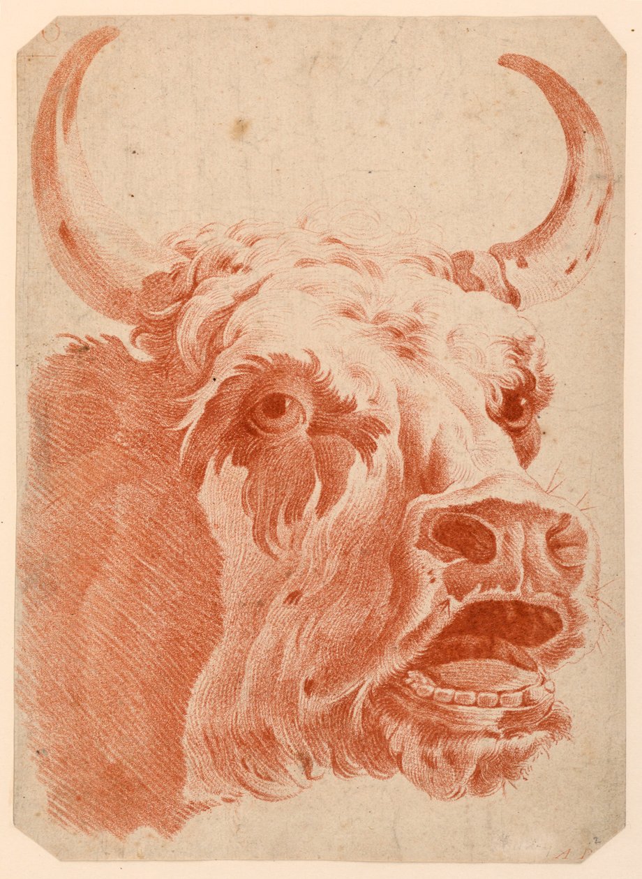 Bir İnek Başkanı by after Jean Baptiste Huet