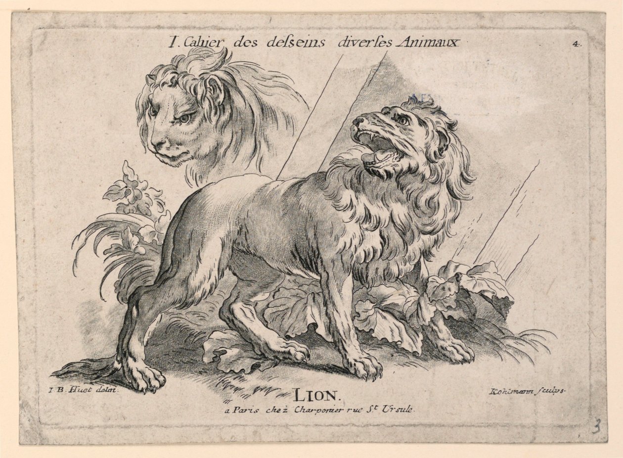Aslan Çalışmaları, "Cahier des Desseins Diverses Animalaux"dan 4. Levha by after Jean Baptiste Huet