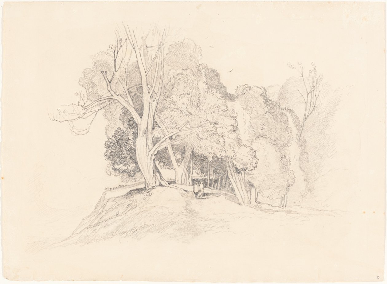 Ağaçlarla Peyzaj by after John Sell Cotman British 19th Century