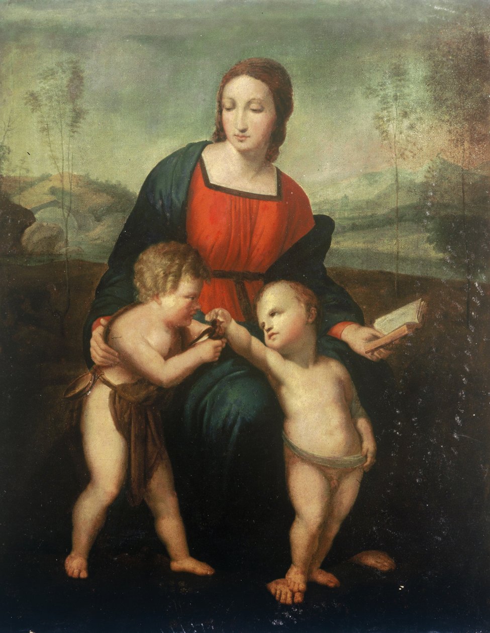 Saka Kuşunun Madonna