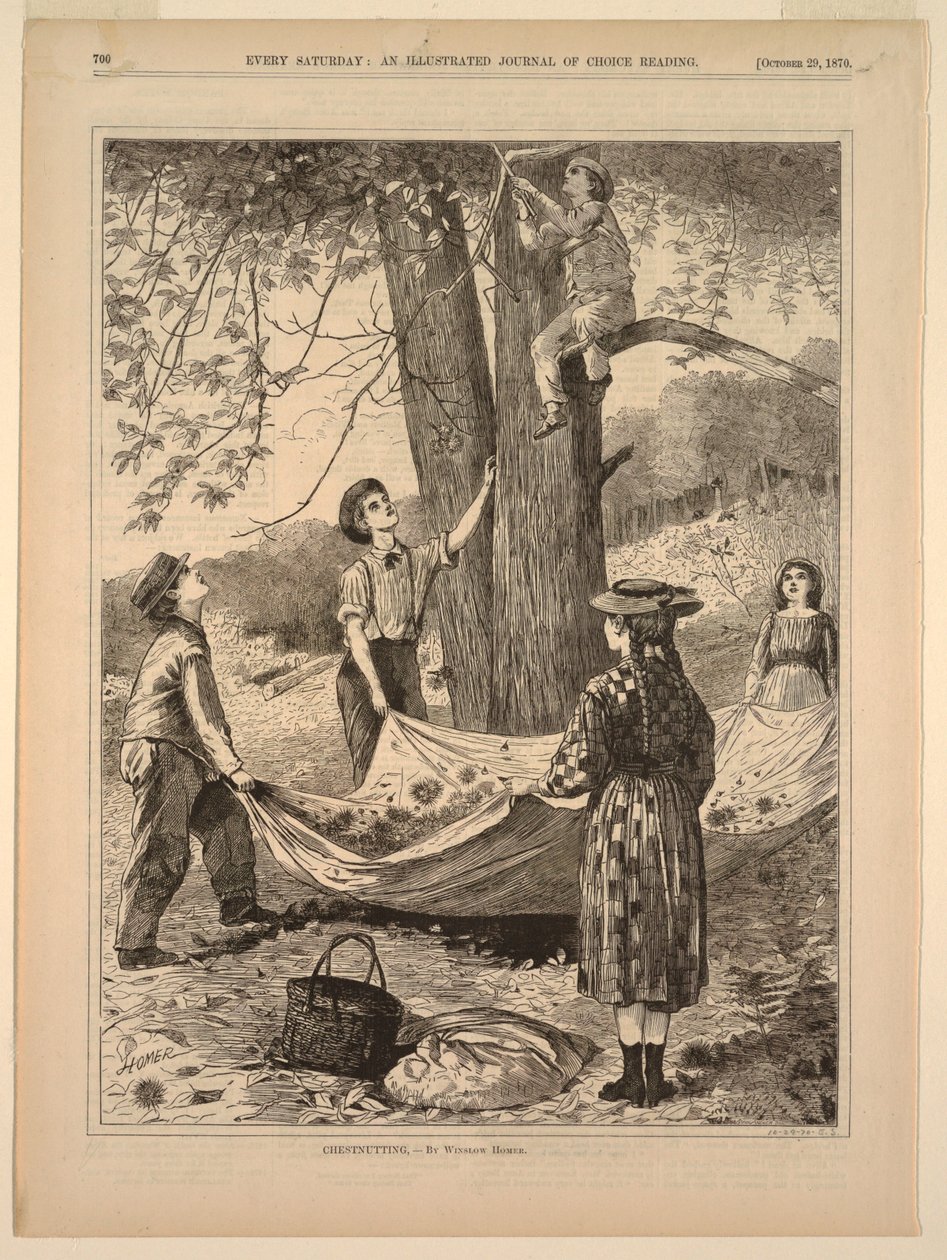 kestane by after Winslow Homer