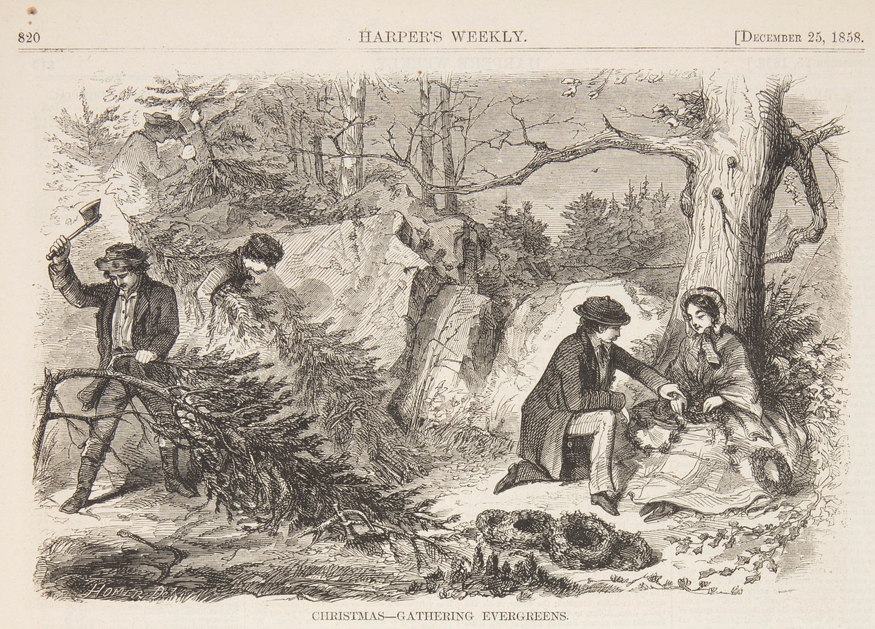 Noel – Yaprak dökmeyenlerin toplanması by after Winslow Homer