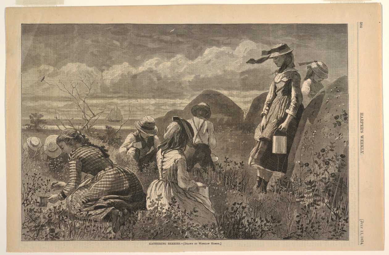 Meyve Toplama by after Winslow Homer