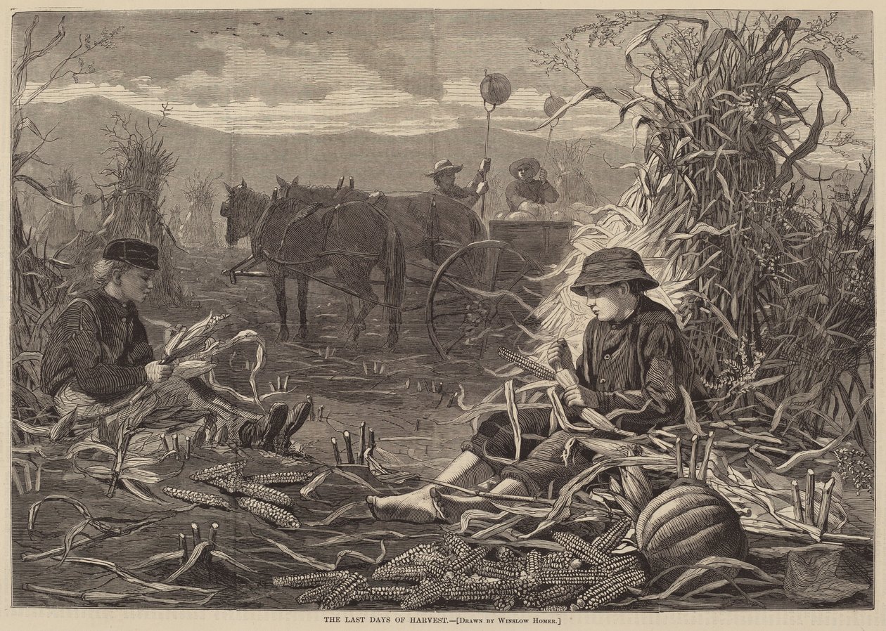 Hasatın Son Günleri by after Winslow Homer