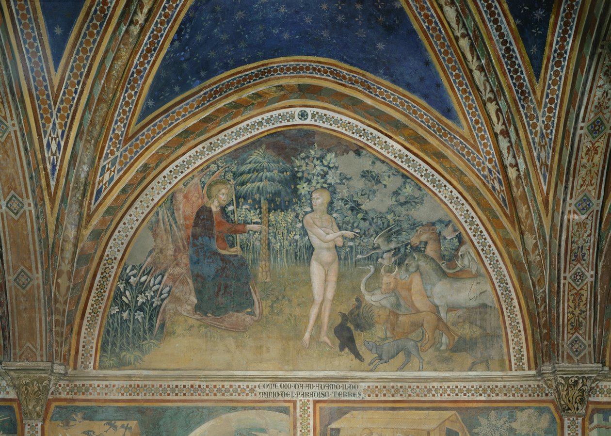 Hayvanların Yaratılışı by also Manfredi de Battilori Bartolo di Fredi