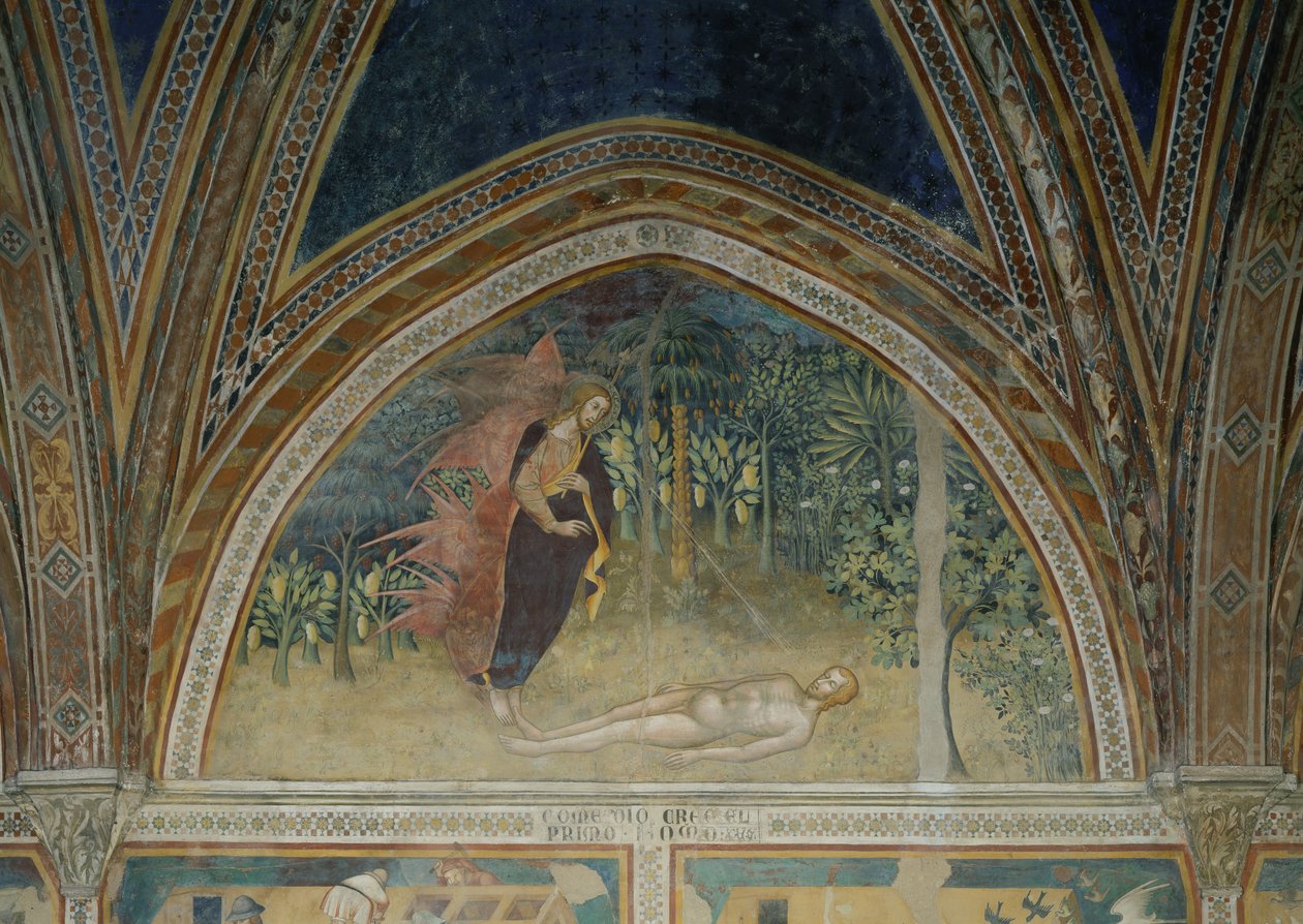 İnsanın Yaratılışı by also Manfredi de Battilori Bartolo di Fredi